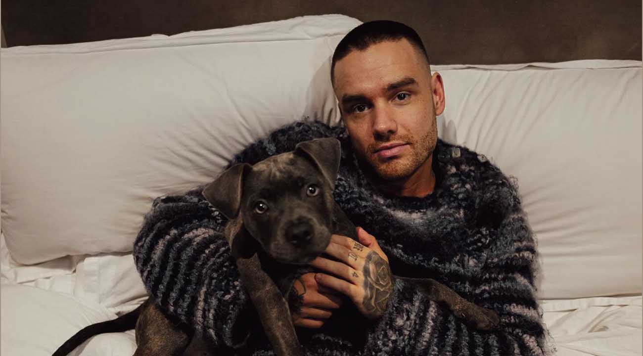 Former One Direction Star Liam Payne Dies at 31